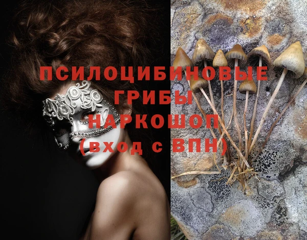 гидропоника Аркадак