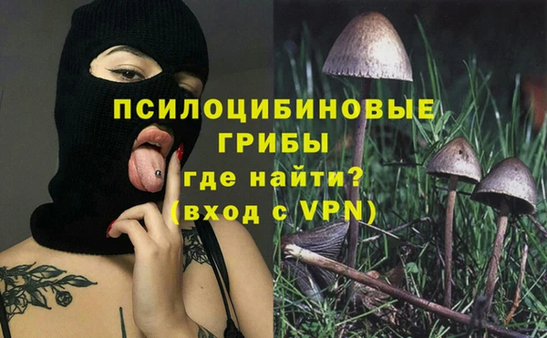гидропоника Аркадак