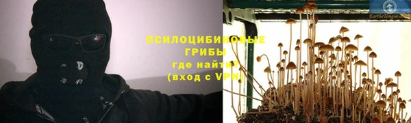 гидропоника Аркадак