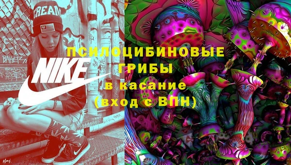 гидропоника Аркадак