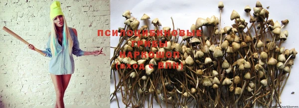 гидропоника Аркадак