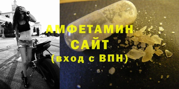 твердый Арсеньев